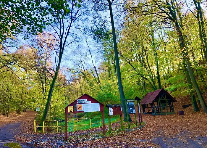 Slupski Premium Nr6 Wifi Netflix Smart Tv50 Two Bedrooms Two Very Large Double Beds Living Full Pleasure Quality Of (adults Only) Słupsk